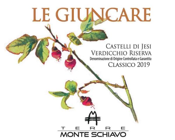 2021 Verdicchio Castelli di Jessi Classico Riserva DOCG